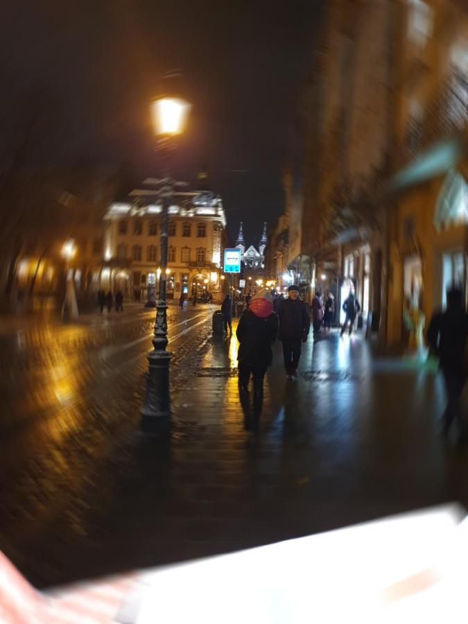 Апартаменти У Шевальє. Lviv Buitenkant foto